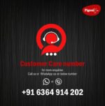 Pigeon Aster Gas Stove 2 Burner with High Powered Brass Burner, Gas Cooktop with Glass Top and Powder Coated Body, black, standard (14266) - Image 6