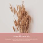 Welld Eyebrow Touch Up Razors, Precision Control For Removing Unwanted Facial Hair And Dermaplaning, Dermaplane Blade For Face, Stainless Steel, Dispossable, Ideal For Men And Women, Pack of 3 - Image 7