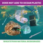 Dermaplaning Tool for Face – Removes Peach Fuzz & Exfoliates Skin | Dermaplane Blade | Facial Razors for Women | Derma Razor | Facial Razor | Face Shaver for Women | Microblade - Image 8