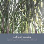 Welld Eyebrow Touch Up Razors, Precision Control For Removing Unwanted Facial Hair And Dermaplaning, Dermaplane Blade For Face, Stainless Steel, Dispossable, Ideal For Men And Women, Pack of 3 - Image 8