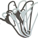 IN.HOUSE Hangers 4Pcs/Lot Portable Clothes Hangers Non-Slip Hook for Suit Coat Closet Garment Outdoor Drying Rack Plastic Clothes Hangers, Assorted Color, Size 41.5x20cm