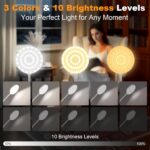 97 LED Rechargeable Reading Lamp, 3 Color Modes & 10 Brightness Levels, 2000mAh Clamp Lamp with USB-C, 40CM Flexible Gooseneck, Cordless Book Lamp Clamp Light for Bed, Table, Desk - White - Image 2